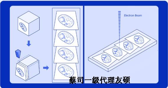 十堰蔡司十堰扫描电镜