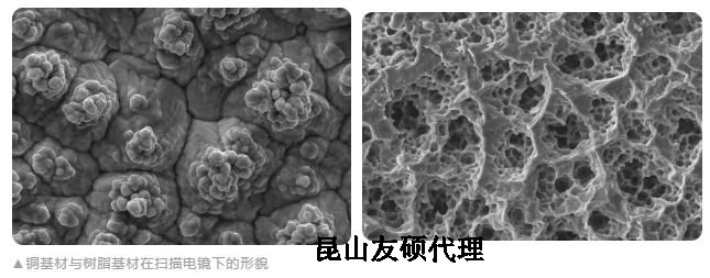 十堰蔡司十堰扫描电镜