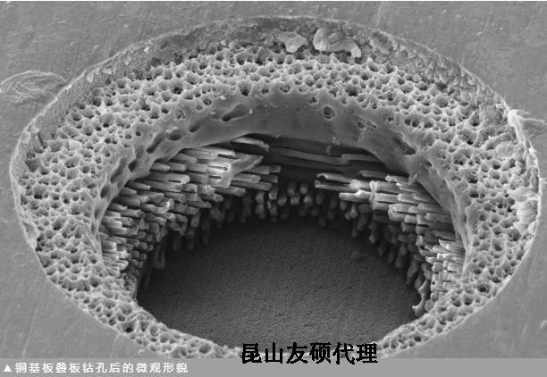 十堰蔡司十堰扫描电镜